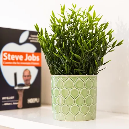 Melloni House 公寓 *