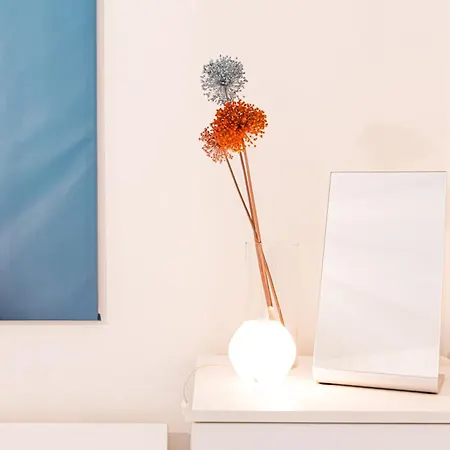 Melloni House 博洛尼亚